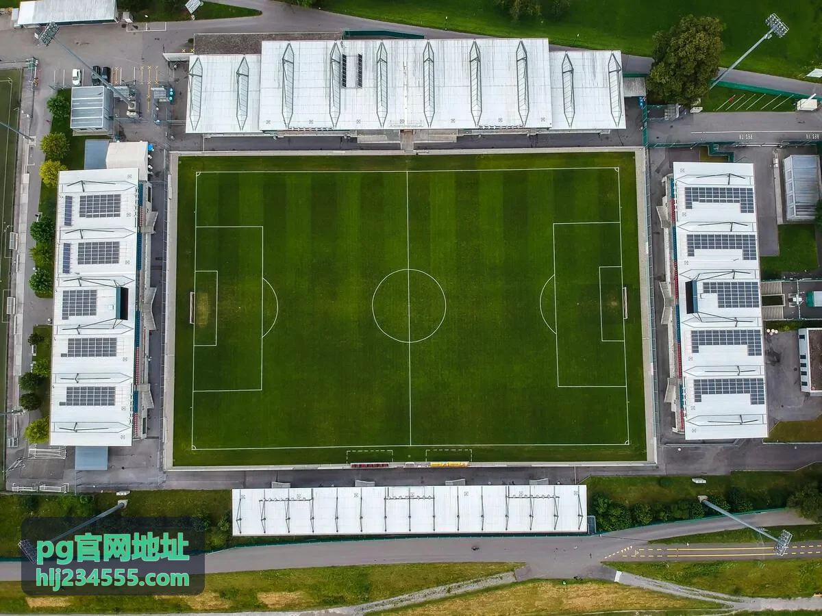 pg官网地址入口核验顺序条目封面